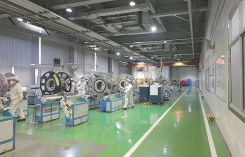 以教育之強譜寫高質量發展新篇 浙大勇擔使命，我與教育強國共成長