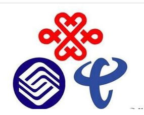 廣電網(wǎng)絡(luò)公司掛牌 邁向全業(yè)務(wù)運營的里程碑